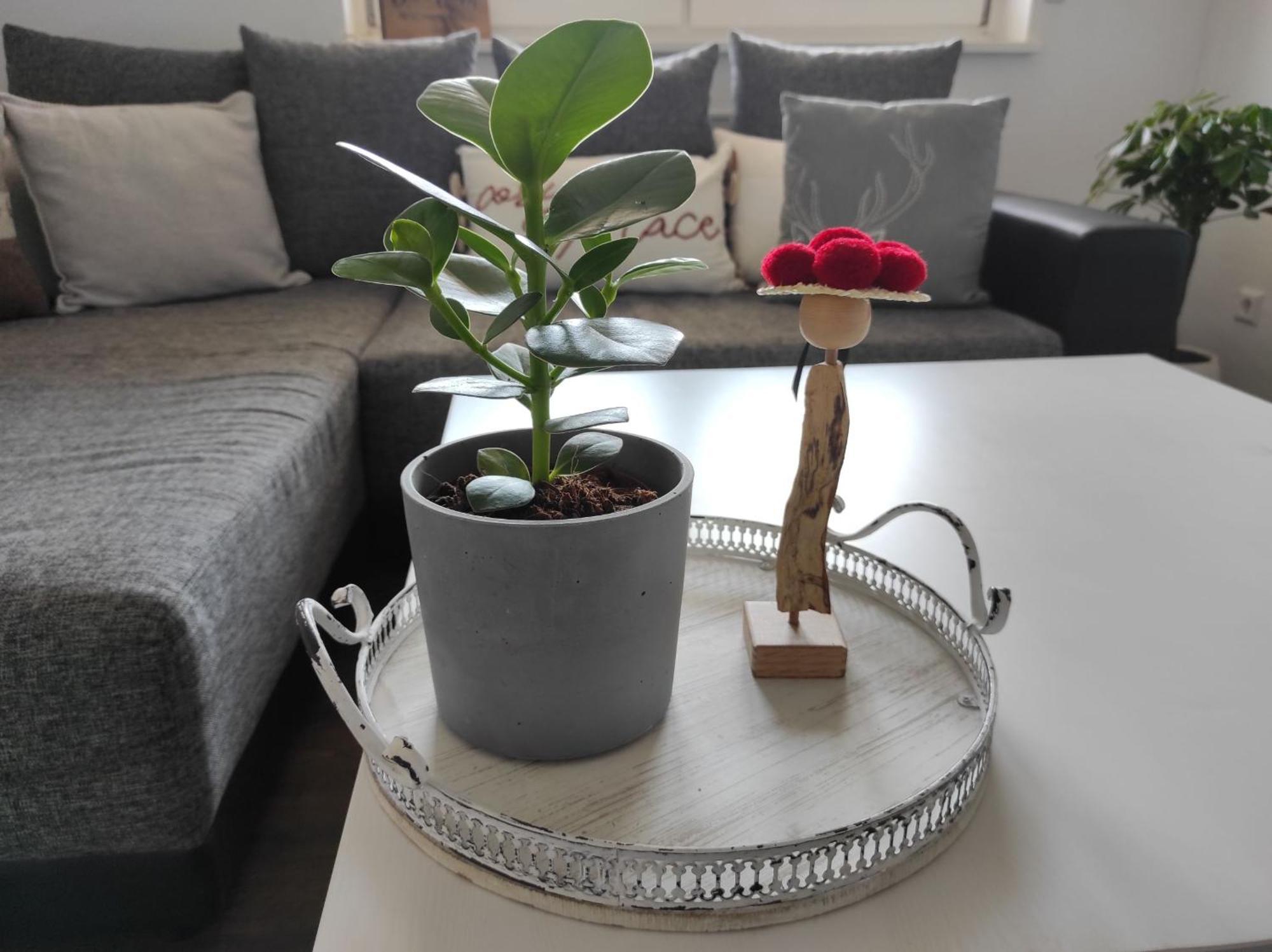 דירות וואלדקירץ' Haus Albi מראה חיצוני תמונה
